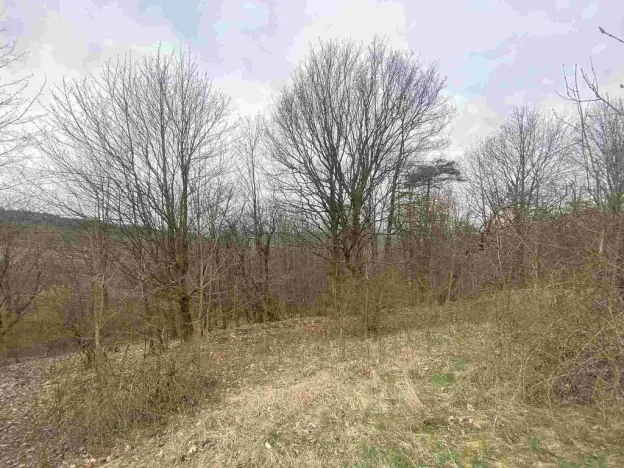 Prodej pozemku, Mírová pod Kozákovem - Vesec, 1000 m2