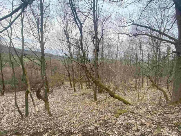 Prodej pozemku, Mírová pod Kozákovem - Vesec, 1000 m2