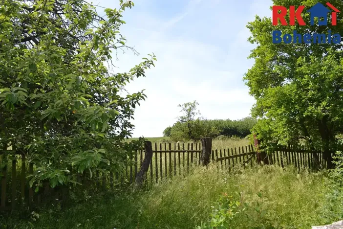 Prodej pozemku pro bydlení, Cholenice, 16365 m2