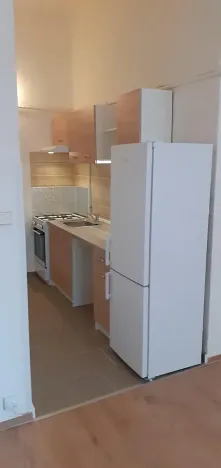 Pronájem bytu 1+kk, Praha - Karlín, 39 m2