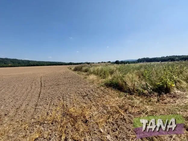 Prodej pole, Jenišovice, 4030 m2