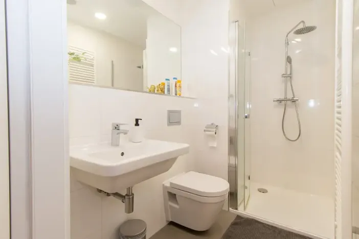 Pronájem bytu 2+kk, Praha - Vinohrady, Perucká, 40 m2