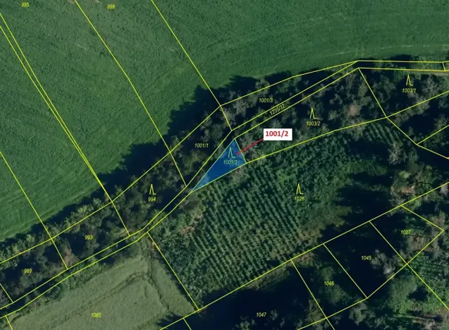 Dražba lesa, Březí nad Oslavou, 150 m2