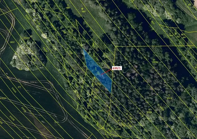 Dražba lesa, Jalubí, 453 m2