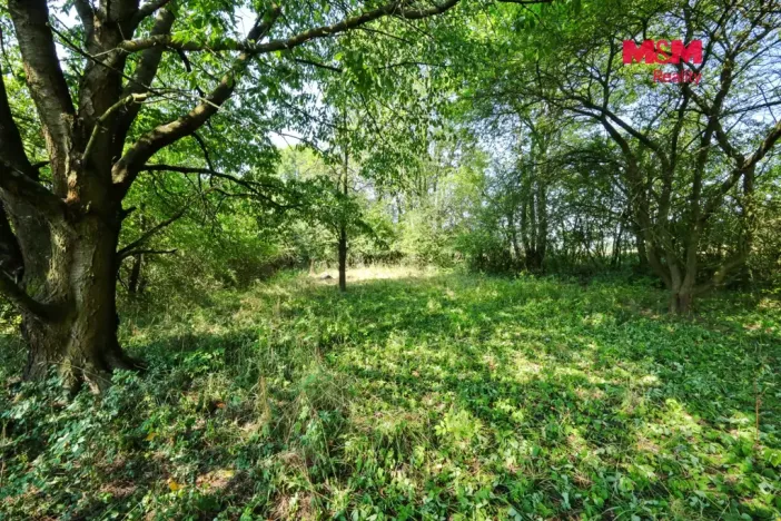 Prodej zahrady, Golčův Jeníkov - Sirákovice, 603 m2