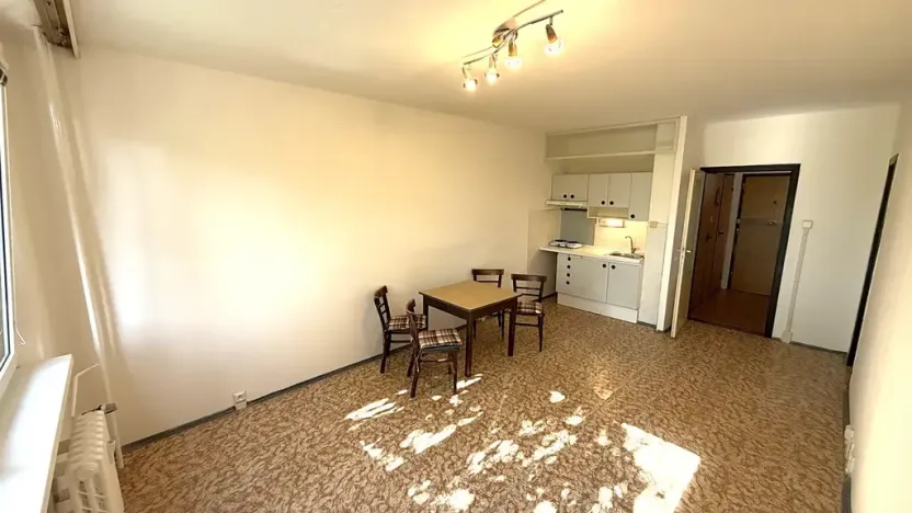 Pronájem bytu 1+kk, Praha - Chodov, Nad Opatovem, 30 m2