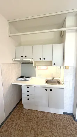 Pronájem bytu 1+kk, Praha - Chodov, Nad Opatovem, 30 m2