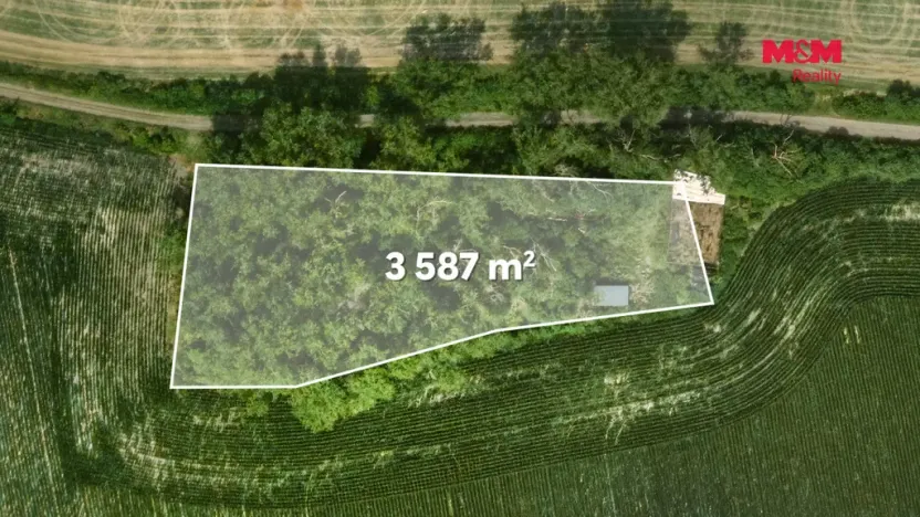 Prodej lesa, Libochovice - Dubany, 8199 m2