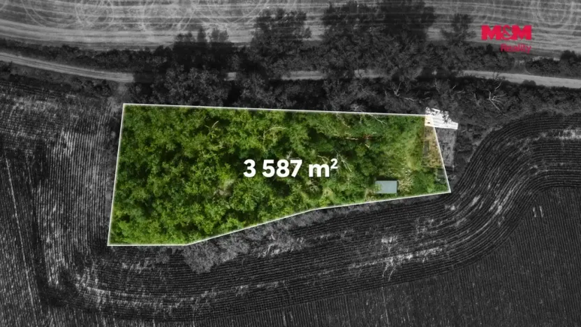 Prodej lesa, Libochovice - Dubany, 8199 m2