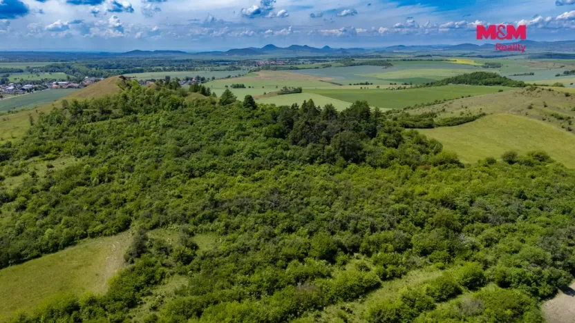 Prodej lesa, Libochovice - Dubany, 8199 m2