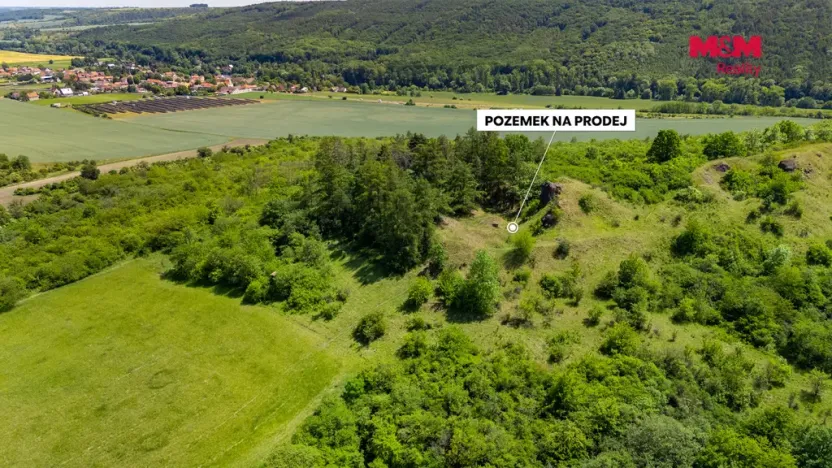 Prodej lesa, Libochovice - Dubany, 8199 m2