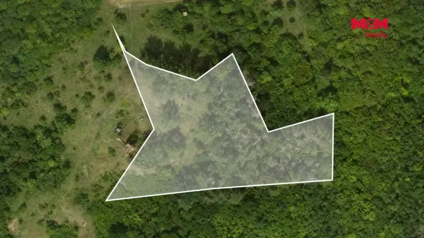 Prodej lesa, Libochovice - Dubany, 8199 m2
