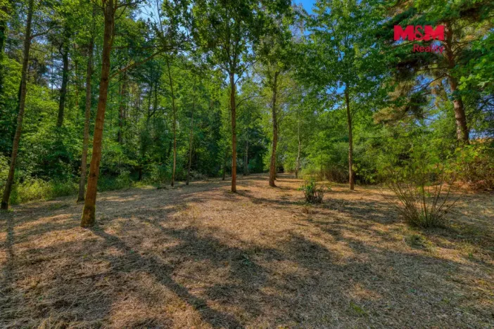 Prodej zahrady, Velký Bor - Slivonice, 2248 m2