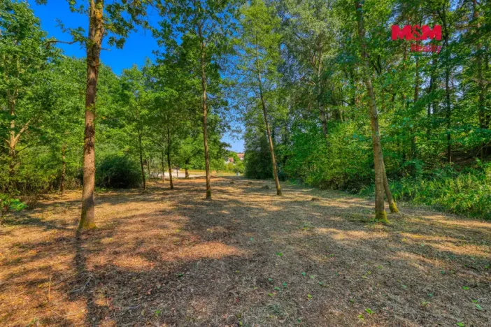Prodej zahrady, Velký Bor - Slivonice, 2248 m2