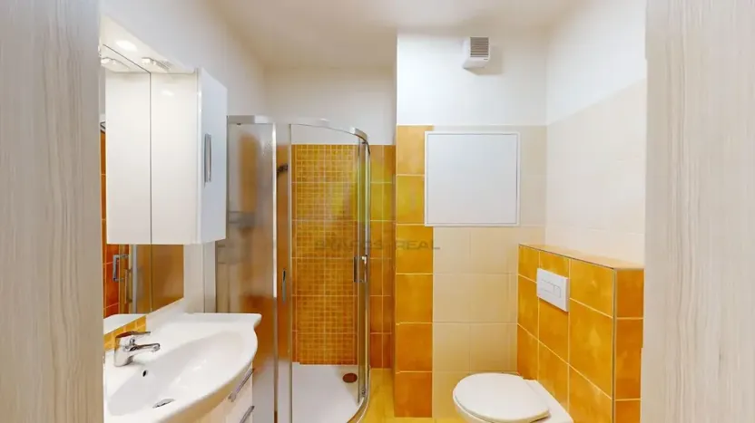 Pronájem bytu 1+kk, Olomouc, Janského, 28 m2