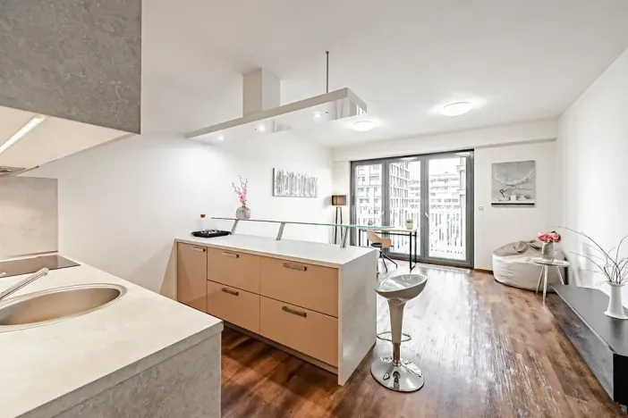 Pronájem bytu 1+kk, Praha - Žižkov, Olšanská, 36 m2