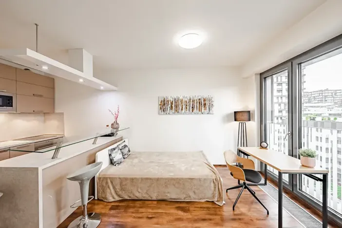 Pronájem bytu 1+kk, Praha - Žižkov, Olšanská, 36 m2
