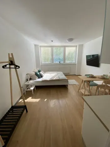 Pronájem bytu 1+kk, Třeboň, Nádražní, 35 m2