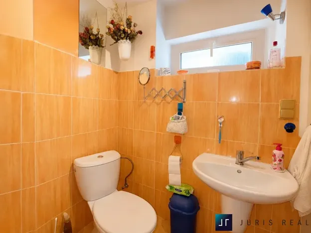 Prodej rodinného domu, Budyně nad Ohří, Školská, 49 m2