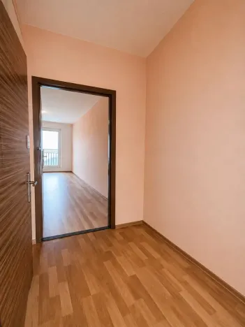 Prodej bytu 1+kk, Ostrava - Zábřeh, Petruškova, 30 m2