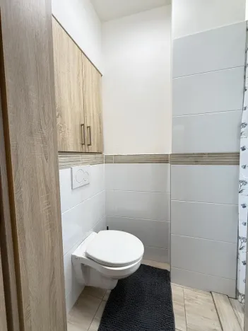 Prodej bytu 1+kk, Opava - Předměstí, Alšova, 15 m2