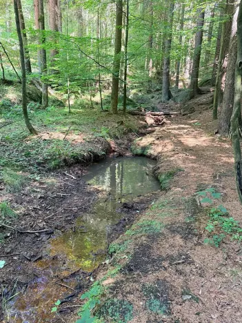 Prodej pozemku pro bydlení, Oldřichov v Hájích, 1312 m2