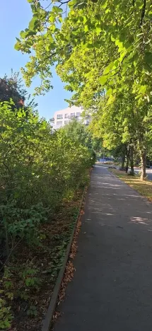 Prodej bytu 4+kk, Praha - Motol, Kudrnova, 120 m2
