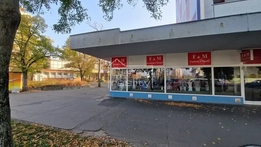 Pronájem obchodního prostoru, Pardubice, Palackého třída, 465 m2