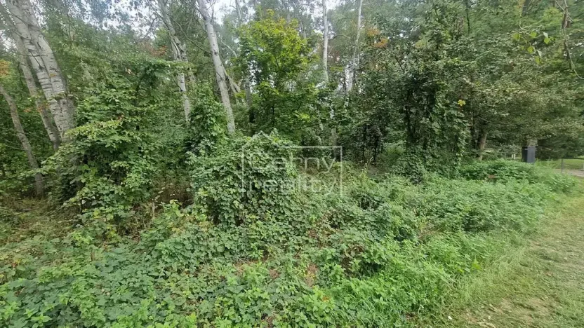Prodej pozemku pro bydlení, Lázně Bohdaneč, Šípkova, 3376 m2