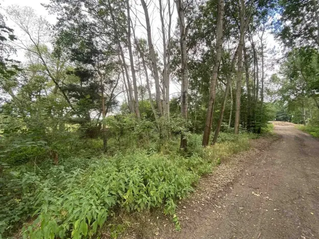 Prodej louky, Nové Hrady - Štiptoň, 6751 m2