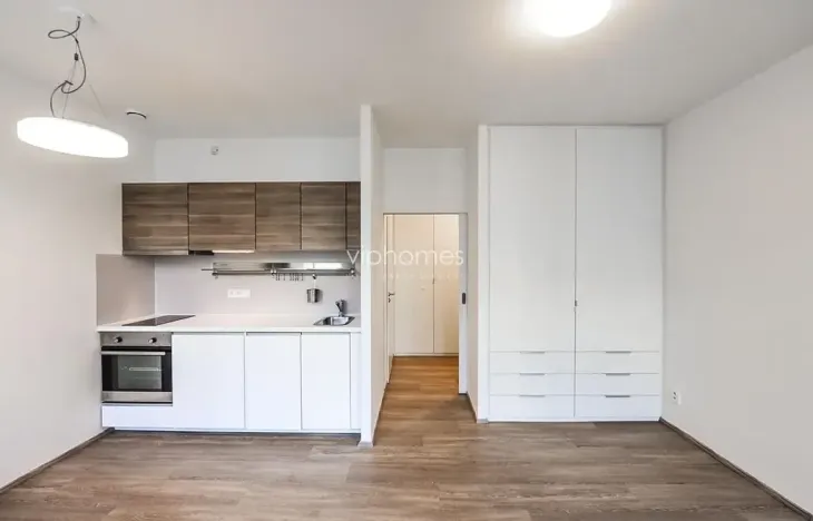 Pronájem bytu 1+kk, Praha - Vinohrady, Lucemburská, 30 m2