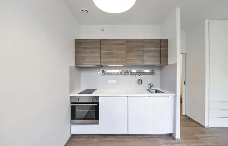 Pronájem bytu 1+kk, Praha - Vinohrady, Lucemburská, 30 m2