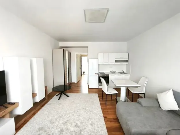 Pronájem bytu 1+kk, Praha - Střešovice, Parléřova, 38 m2