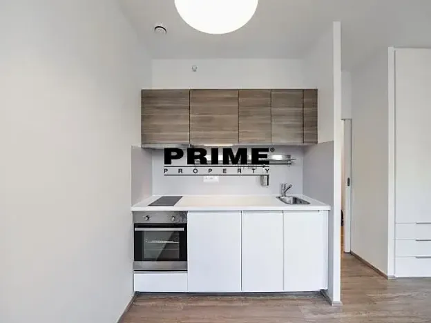 Pronájem bytu 1+kk, Praha - Žižkov, Lucemburská, 30 m2