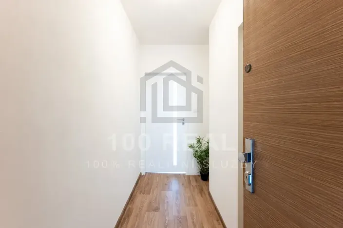 Pronájem bytu 1+kk, Hradec Králové, Selicharova, 30 m2