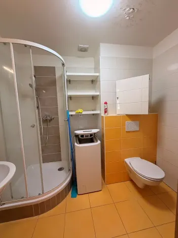 Pronájem bytu 1+kk, Brno, Vídeňská, 31 m2