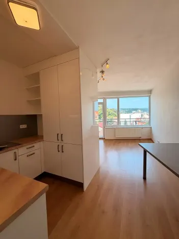 Pronájem bytu 1+kk, Brno, Vídeňská, 31 m2