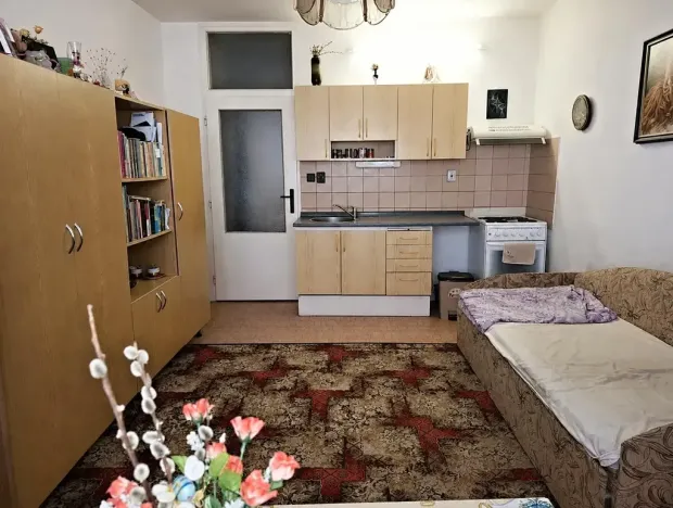 Prodej bytu 1+kk, Chodov, U Porcelánky, 24 m2
