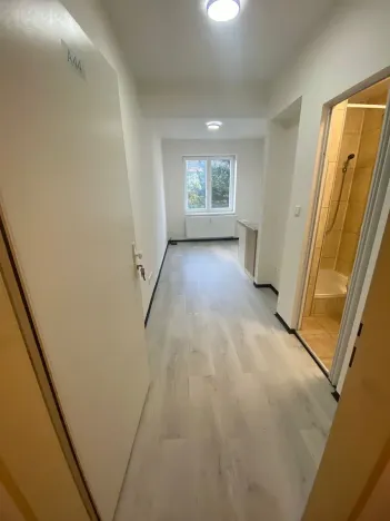 Pronájem bytu 1+kk, Praha - Hlubočepy, Na Zlíchově, 18 m2