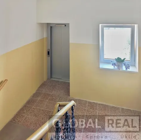 Prodej bytu 2+1, Praha - Libeň, Vacínova, 51 m2