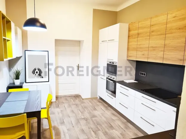 Pronájem bytu 1+1, Brno, Palackého třída, 36 m2