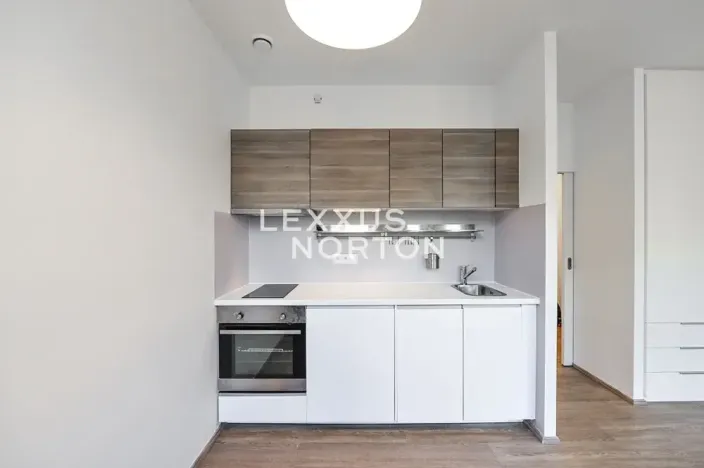 Pronájem bytu 1+kk, Praha - Vinohrady, Lucemburská, 30 m2