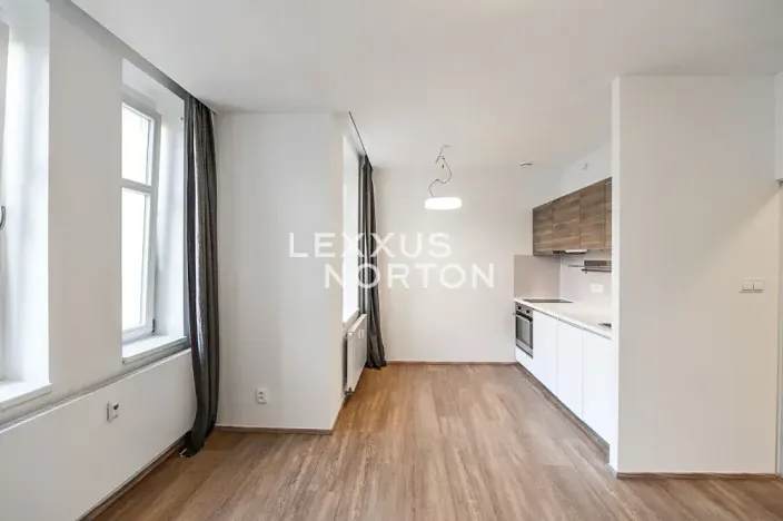Pronájem bytu 1+kk, Praha - Vinohrady, Lucemburská, 30 m2