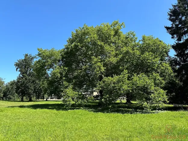 Prodej bytu 2+kk, Býchory, 58 m2