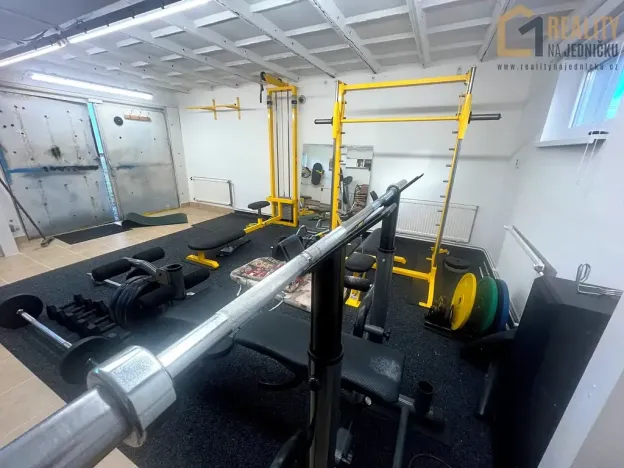 Prodej skladu, Ústí nad Orlicí, Pivovarská, 40 m2