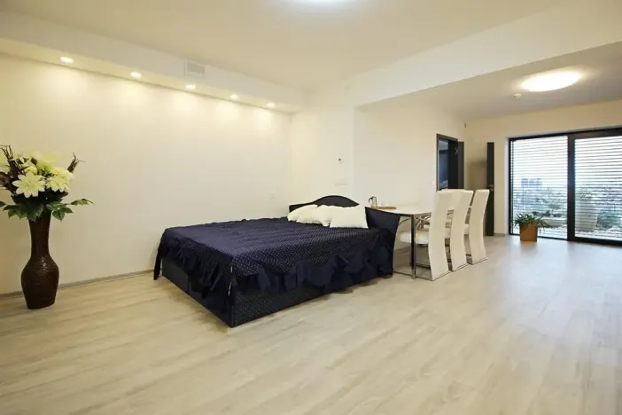 Pronájem bytu 1+kk, Brno, Zákoutí, 58 m2