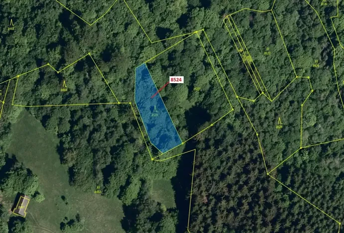Dražba lesa, Vsetín, 939 m2
