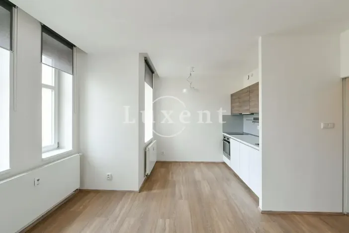 Pronájem bytu 1+kk, Praha - Vinohrady, Lucemburská, 30 m2