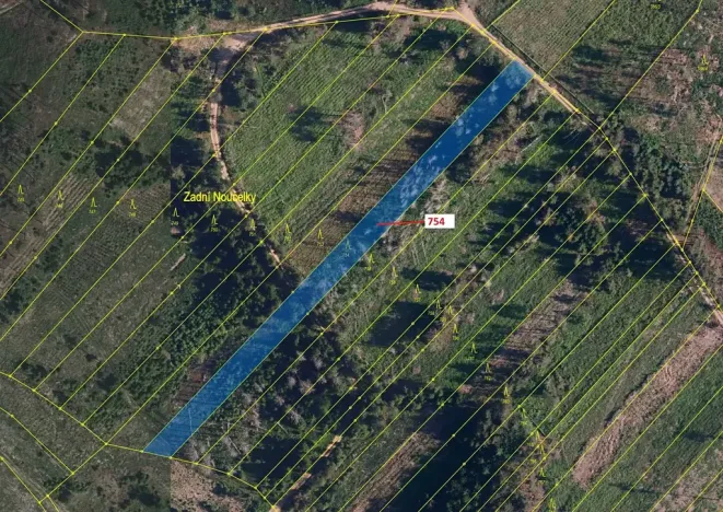 Dražba lesa, Knínice, 2930 m2