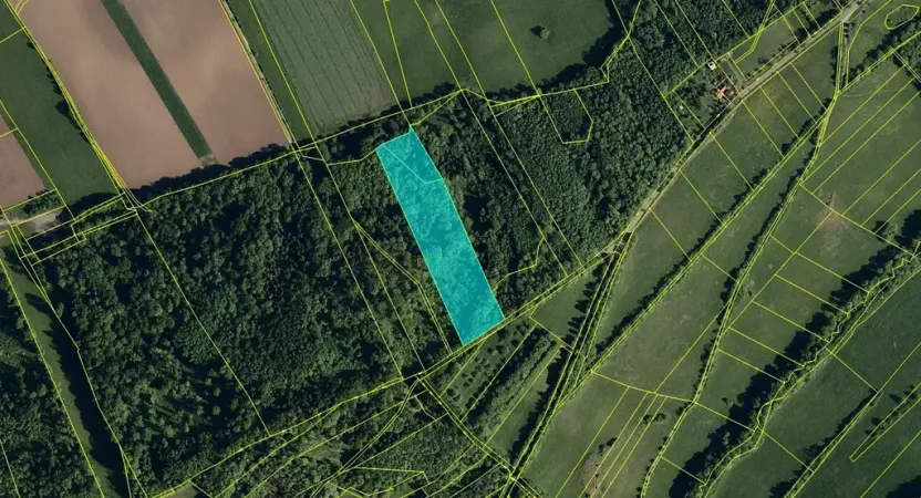 Dražba lesa, Nový Jičín, 19574 m2